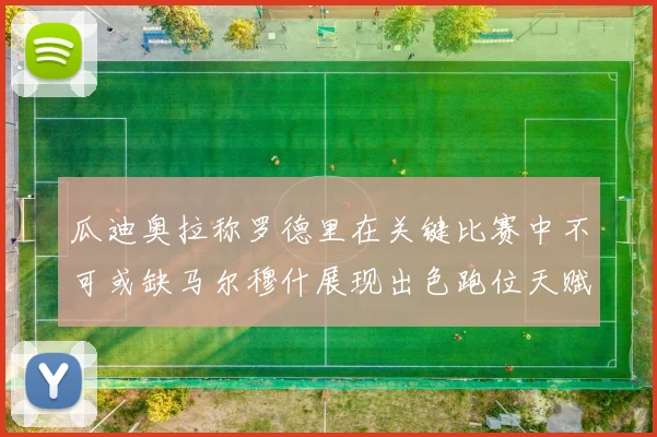 瓜迪奥拉称罗德里在关键比赛中不可或缺马尔穆什展现出色跑位天赋
